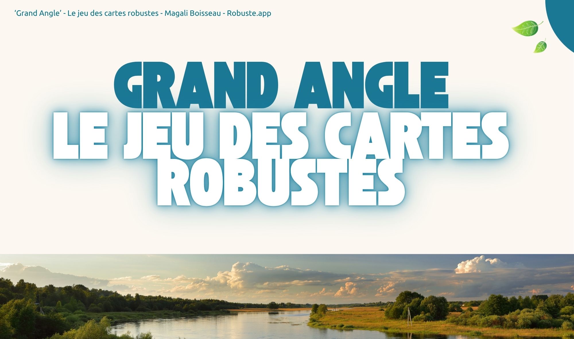 Grand Angle - Le jeu des cartes robustes par Magali Boisseau
